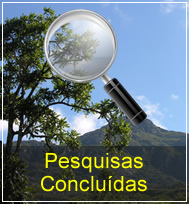 pesquisas concluidas