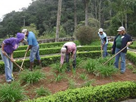 curso de jardinagem2