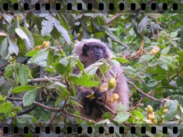 dia_internacional_biodiversidade_011