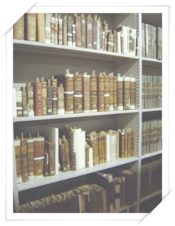 biblioteca (3)