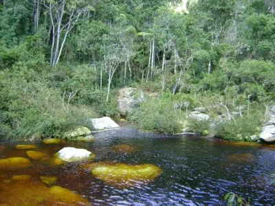 Bocaina 06