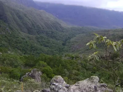 Pico da Carapuça 14