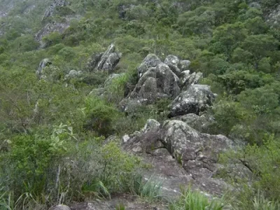 Pico da Carapuça 15
