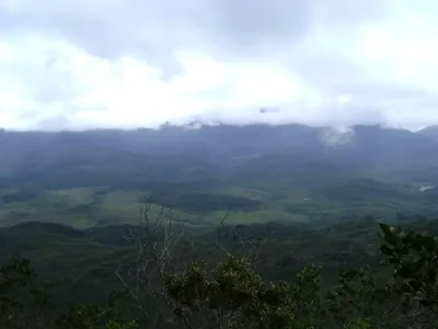 Pico da Carapuça 16