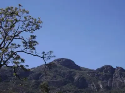 Pico da Carapuça 19