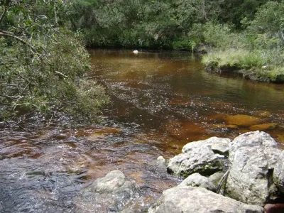 Taboões 05