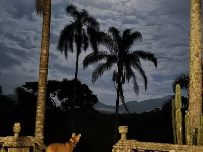 lobo guará santuario do caraça